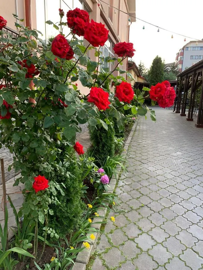 Pensiunea Passion Bukarest Gasthof