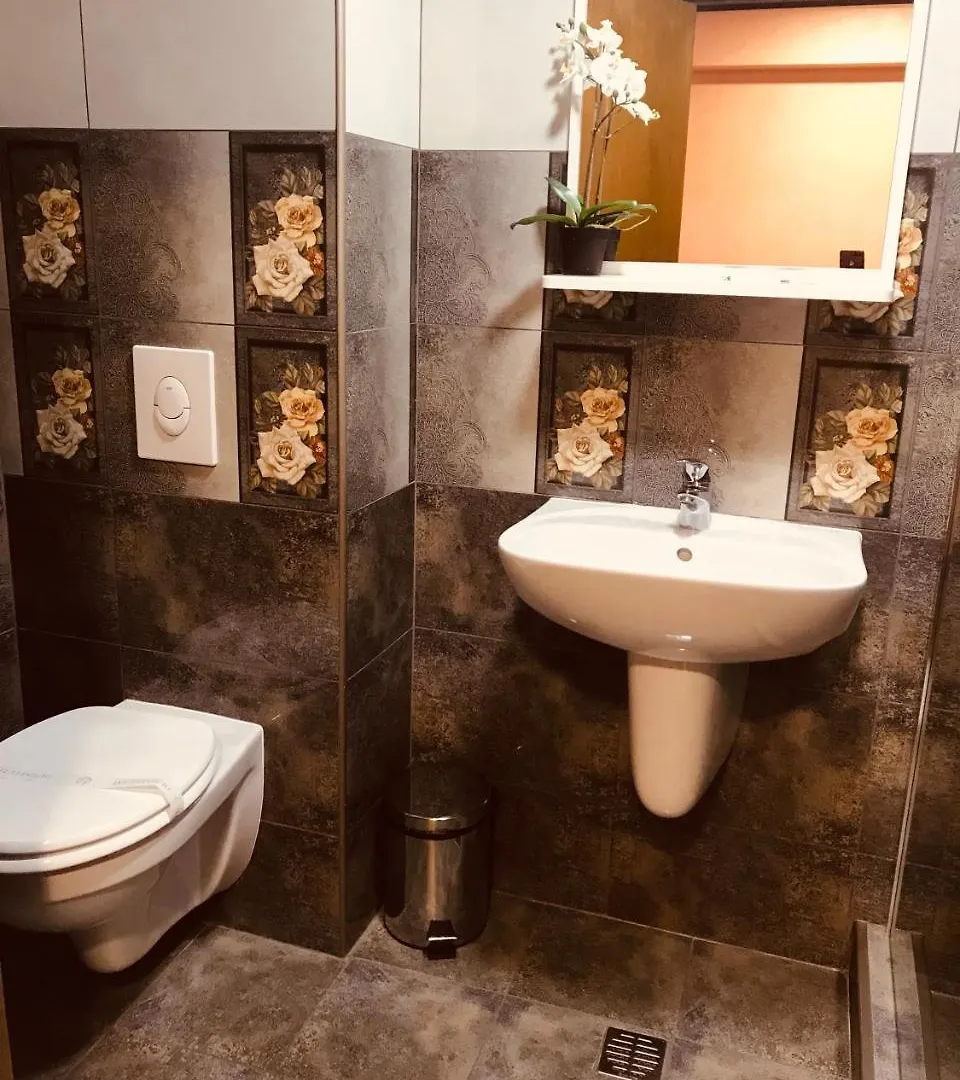 Pensiunea Passion Bucharest Guest house